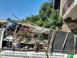 Demolition Debris Removal in North Merritt Island, FL